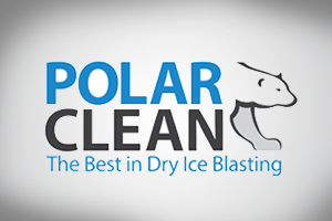 Polar Clean Logo Design