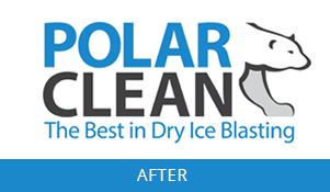 Polar Clean Logo Design After